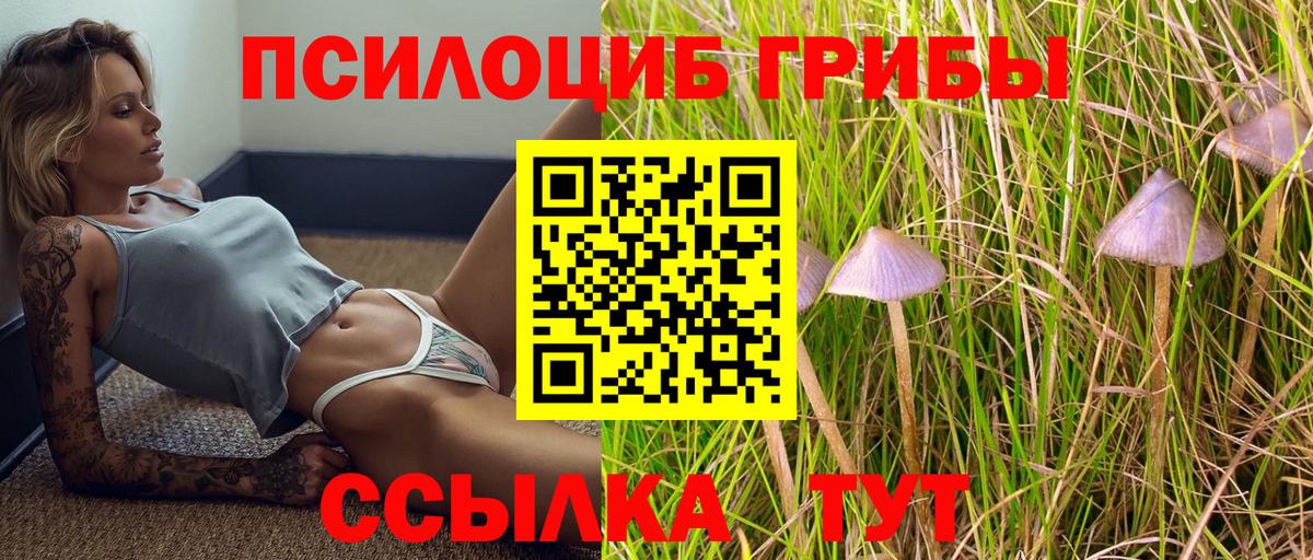 Псилоцибиновые грибы Magic Shrooms  Вход с VPN  Ханты-Мансийск 